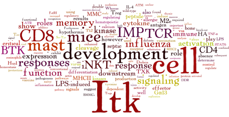 WordCloud_Publications